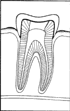 TOOTH
